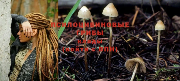 альфа пвп VHQ Белокуриха