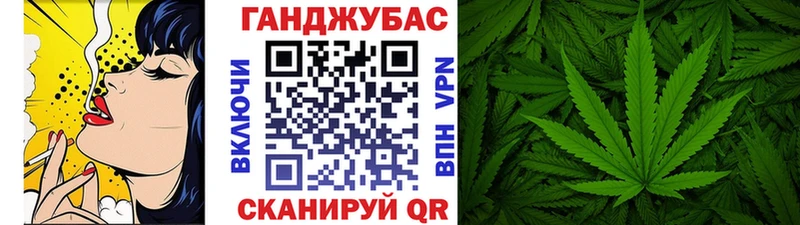 Шишки марихуана марихуана  Дигора 